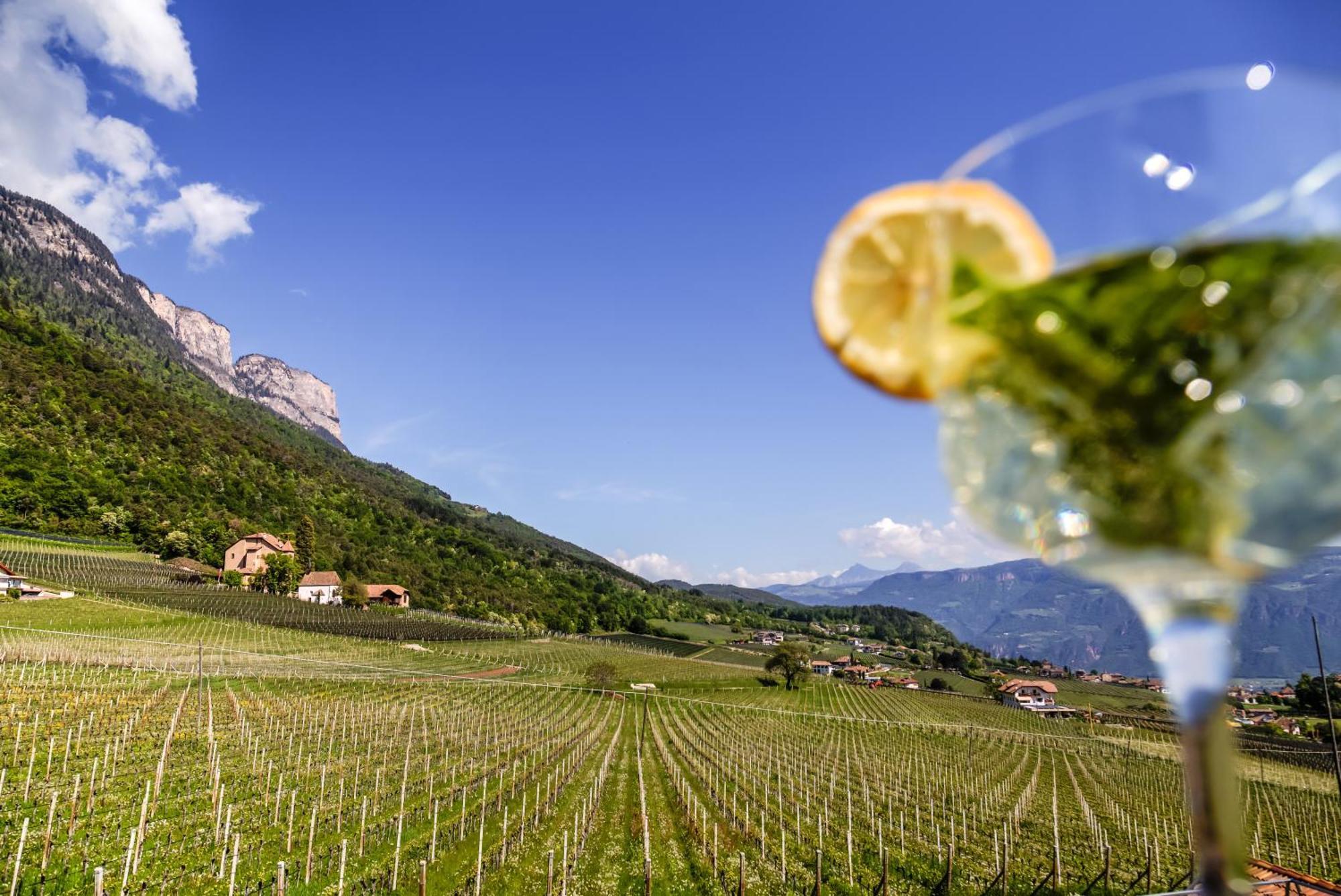Das Matscher Residence & Garden Hotel Appiano Sulla Strada Del Vino Esterno foto